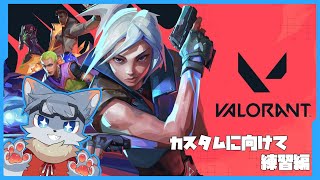 【VALORANT】初心者オオカミがカスタム練習配信withVALORANT