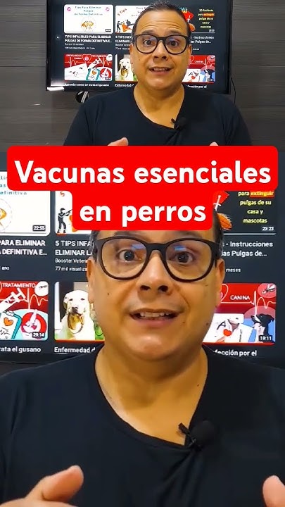 gabapentina para que sirve en perros