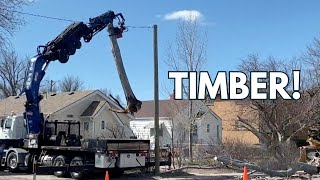 Cheyenne Struggles After 90-MPH Winds Cause Havoc, Cleanup Begins screenshot 5