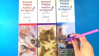 Kruidvat Diamond Painting kattenpakketten van Francien