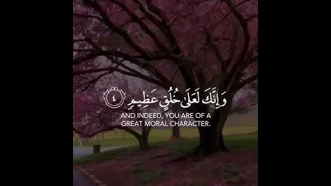 قرآن كريم بصوت القارئ سالم الرويلي تلاوة هادئة 😴🌿 حالات واتس اب / Quran ststus |Quran Kareem