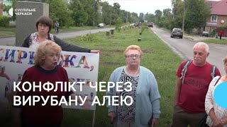 Жителі Сміли обурені вирубкою дерев