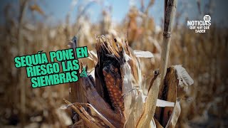 Las Noticias que debes saber 190826