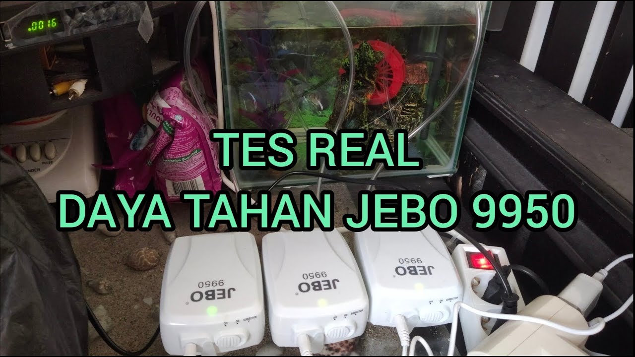 Real Review Daya Tahan Aeartor AC DC Jebo 9950