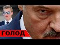 Лукашенко в ярости / Масовый голод создает революцию / Народные новости