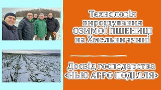 Технологія вирощування озимої пшениці на Хмельниччині. Практичний досвід