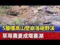 5層樓高山壁崩落砸野溪 草莓農憂成堰塞湖