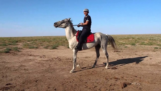 Екі балапан жалады