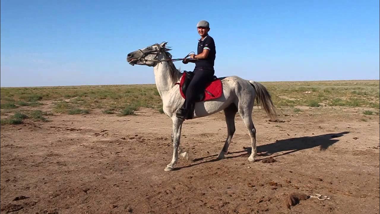 Жатыр миомасы және жыныстық қатынас Желідегі қызғылт порно видеолар