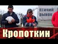 Птичий рынок. Кропоткин. [29.01.2023]