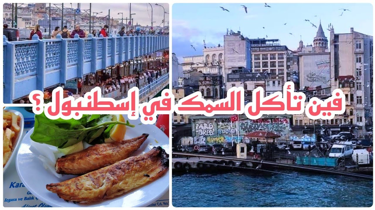 مطاعم السمك في أمينونو و كراكوي & جولة عبر برج غلاطة🇹🇷