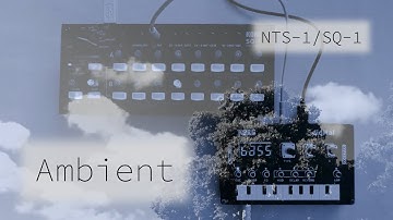 2022-01-29 ambient: KORG NTS-1/SQ-1