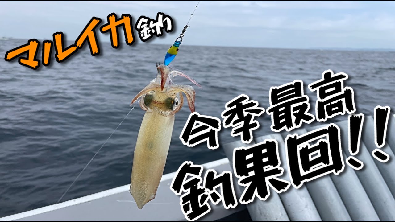 マルイカ釣り!今季最高釣果回!!