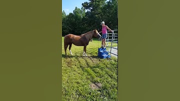 1st session on side passing to mounting block