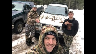 Deer Shed Hunting 2023 (EP.1) 10 antlers!