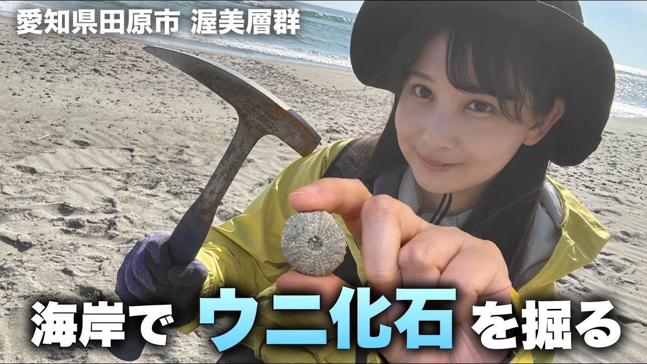 Fossil collecting] Dig for sea urchin fossils and sea turtle