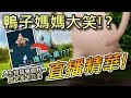 【精靈寶可夢GO】POKEMON GO|鴨子媽媽大笑!?直播精華~進化彷徨夜靈!!