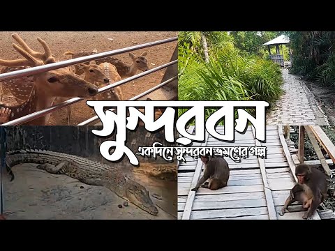 ভিডিও: ওসাকা থেকে সেরা দিনের ট্রিপ