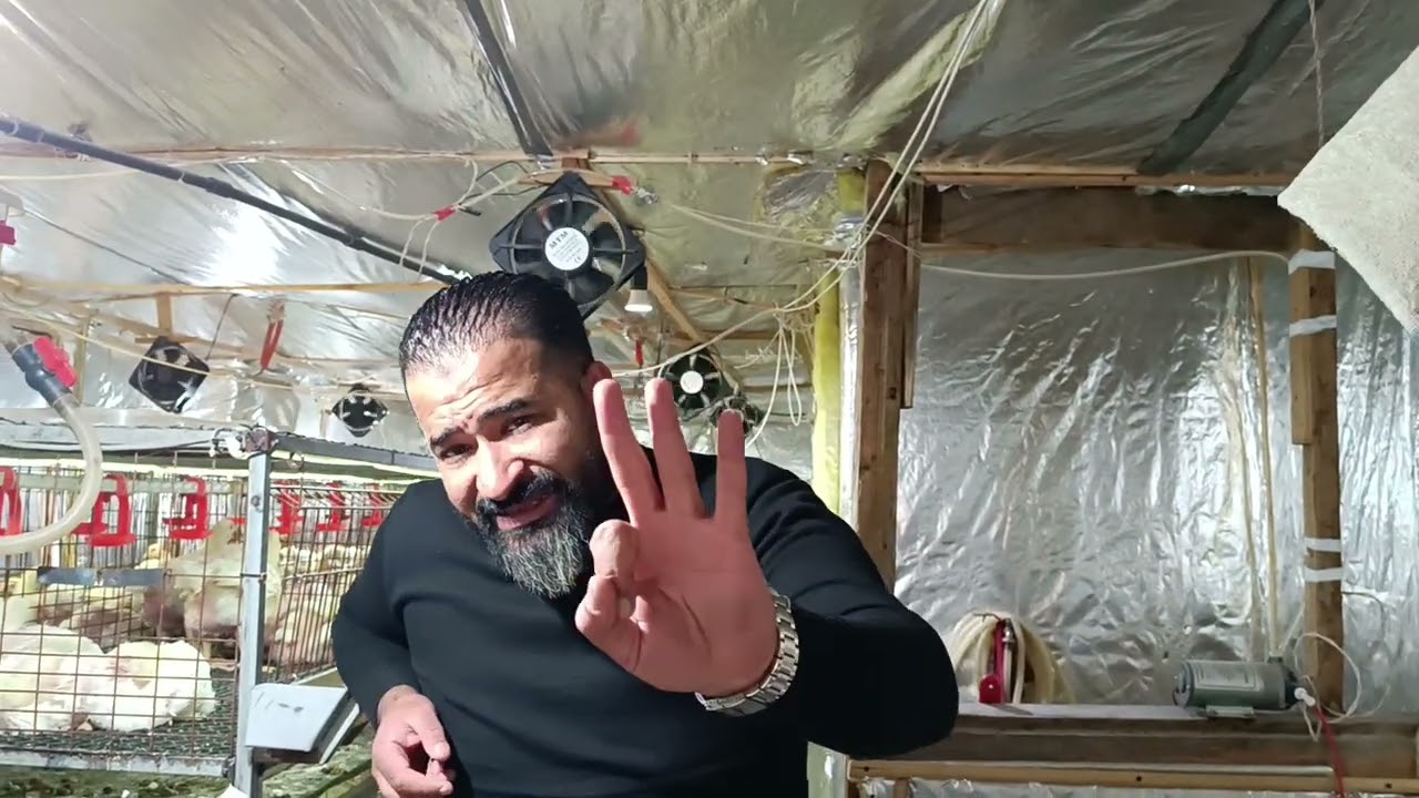 يلا نشوف الحقنه عملت معانا ايه في عنبر ام ريحانه مع الرسام محمد نجيب 💪💪💪