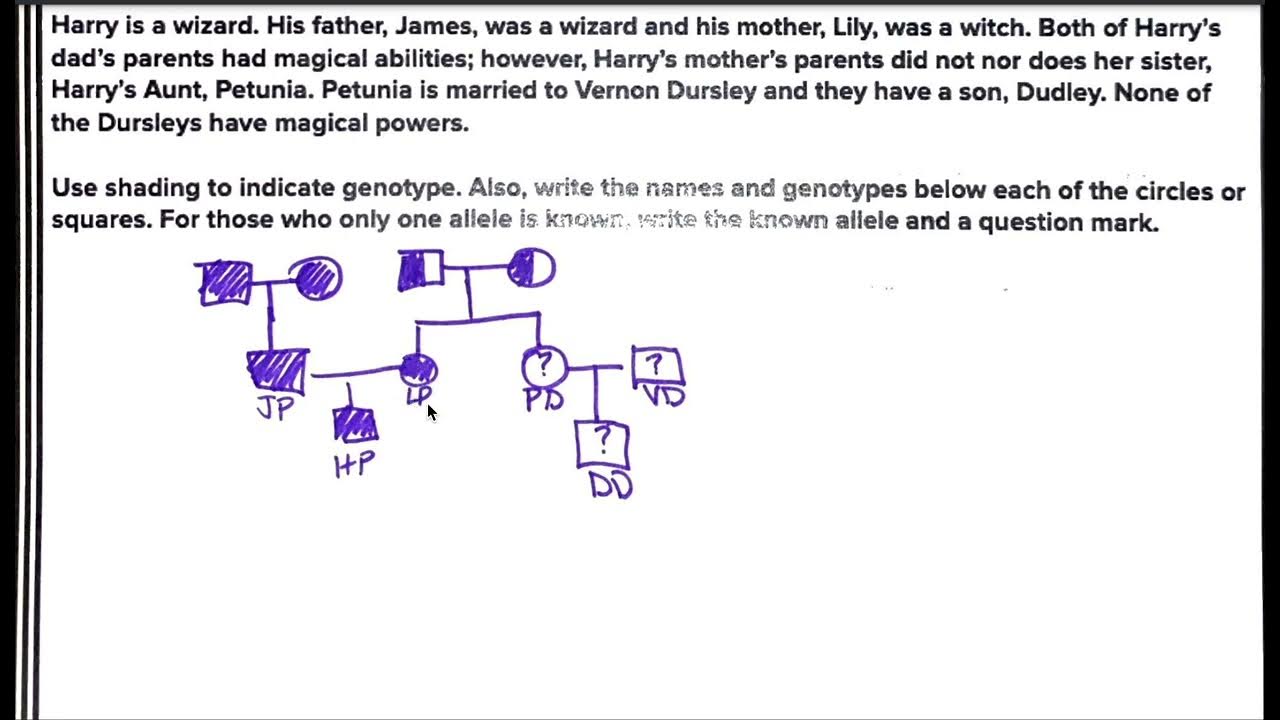 Harry Potter Pedigree Explanation - YouTube