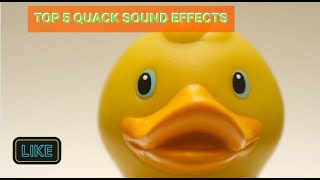 Top 5 Quack Sound Effects