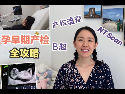 【孕早期产检全攻略】产检流程|做B超|唐筛NT Scan|First Trimester OB Visit