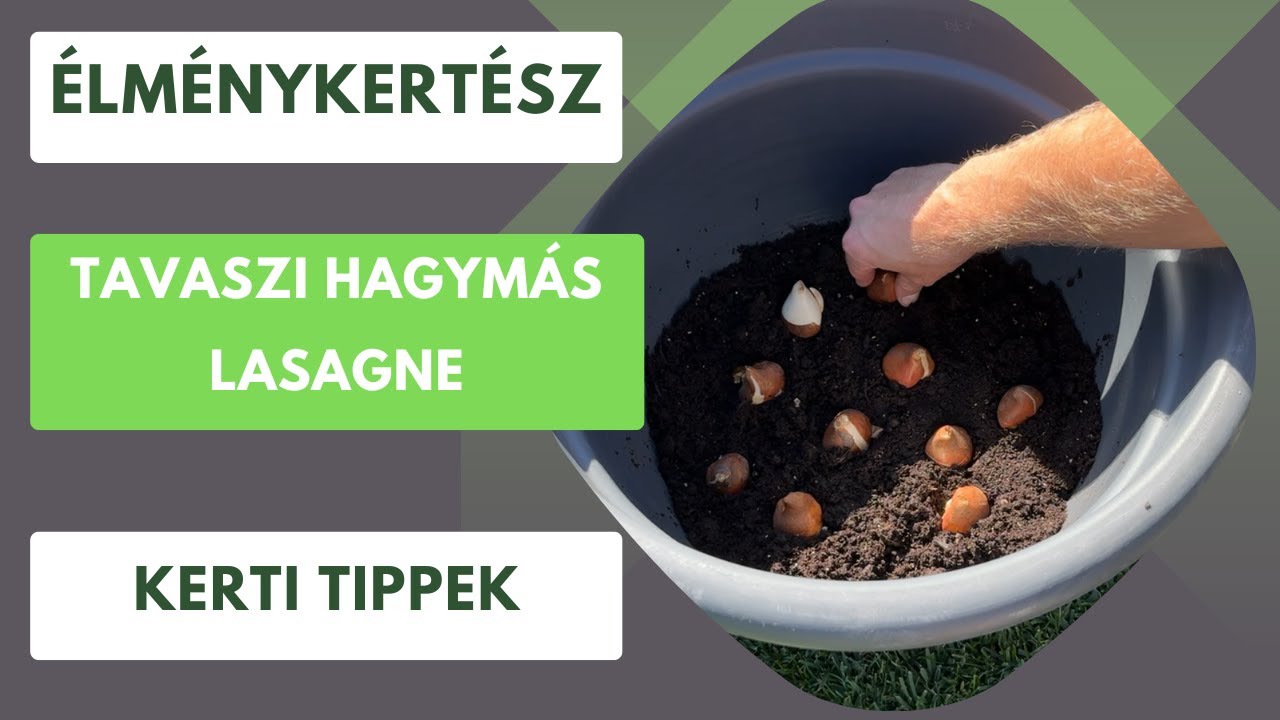 Tavaszi hagymás lasagne- A tavasz színei egy cserépben!🌷🪻