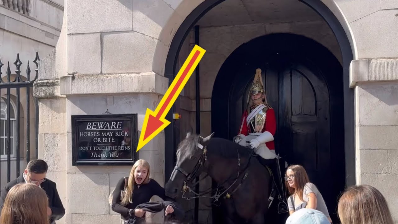 DISRESPECTFUL TOURIST PROVOKED THE WRONG KING’S GUARD HORSE!!?