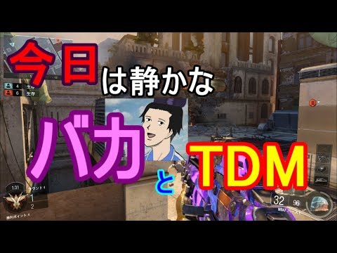 【BO3】#10　今日は静かなバカとTDM