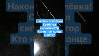🎣 Осенняя рыбалка. Серия 5 — долгожданная поклёвка! Звуковой сигнал слышно было прямо в машине