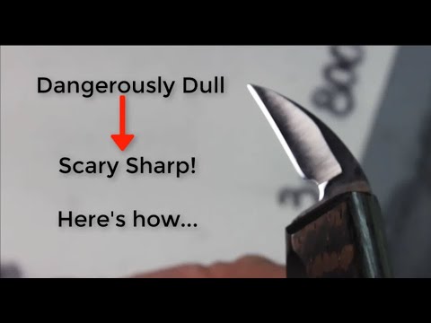 Home - Scary Sharp