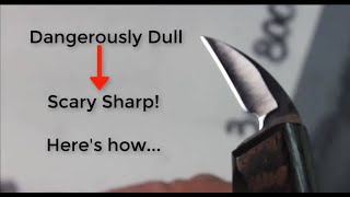 How to Sharpen Your Knife from Dangerously Dull to Scary Sharp!