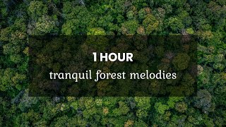 [] Sylvan Serenades Beneath Whispering Branches   • 4k Video UltraHD