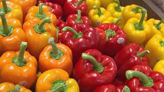 New grocery store opening in Hartford