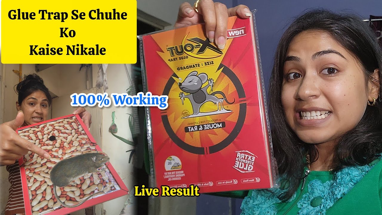 Mouse Trap Kaise Use Kare 🐀  How To Use Glue Trap For Rats || Chuha Pakadne Ka Sabse Asan Tarika