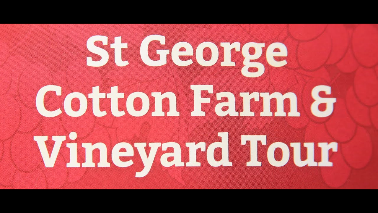 St Cotton Farm & Winery Tour presented by Peter Bellingham