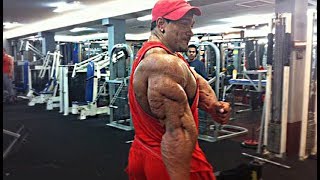 Roelly Winklaar's Triceps Training Road to the Olympia Part 3
