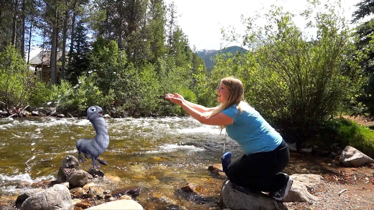 Really fun day playing Wizards Unite in the Rocky Mountains!