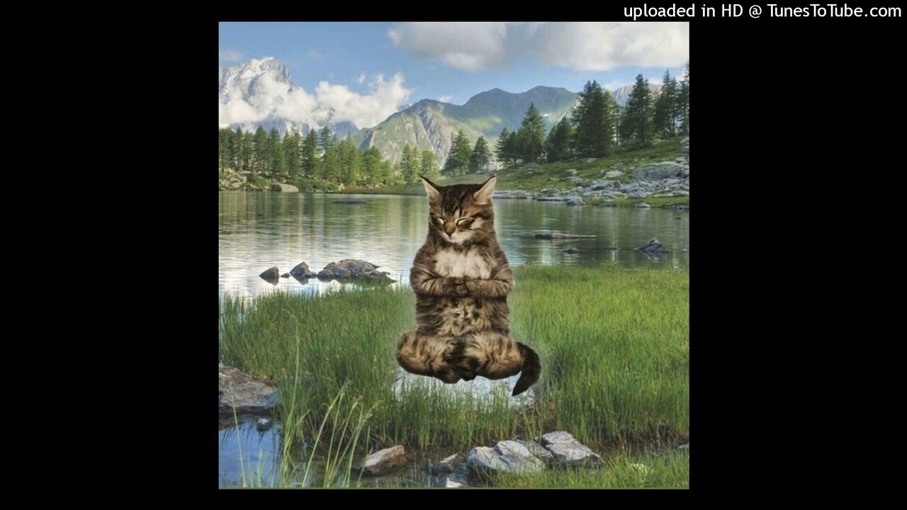 down syndrome minecraft type beat