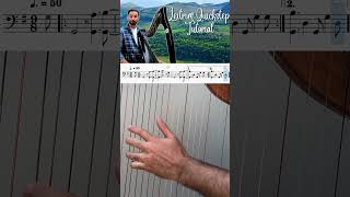 Leitrim Quickstep Tutorial🕺🏽 (Full tutorial on Patreon) #harp #tutorial #irishmusic