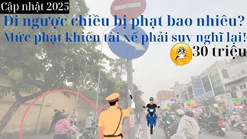👉 Cập nhật 2025: Đi ngược chiều bị phạt bao nhiêu? Mức phạt khiến tài xế phải suy nghĩ lại!