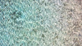 Seafloor Reflections | Tropical Seabed | Ocean Waves | Bora Bora, French Polynesia 🇵🇫 | 4K Travel