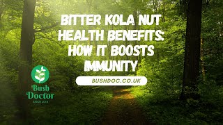 Bitter Kola Nut Health Benefits: How It Boosts Immunity