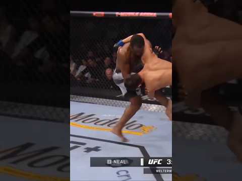 Rockmanov vs. Neal: