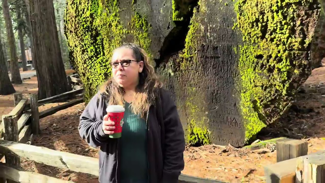 Exploring the California Gold country along with Big Tree State Park 