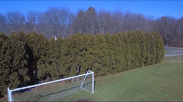 DJI Phantom 3 Crash! Standard Stuck In Tree