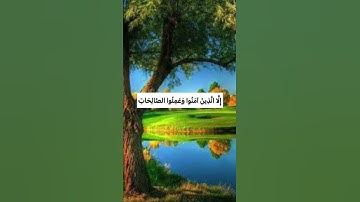 أَلَيْسَ اللَّهُ بِأَحْكَمِ الْحَاكِمِينَ❤️#حسن_الظن_بالله  #مع_القرآن #راحة_نفسية #سورة_التين