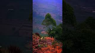 Download Lagu DJ unaity (Pemandangan alam dari daerah Dieng ) MP3