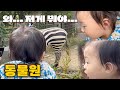 동물원에서 동물을 처음 보고야 만 김리윤의 반응... 😳