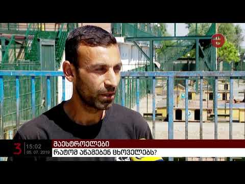 რატომ აწამებენ ცხოველებს?